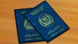 Senate Committee Approves Blue Passports For Children Of Former Lawmakers
