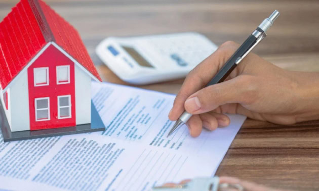 Thousands Stuck As Karachi Property Transfer System Crashes For Days