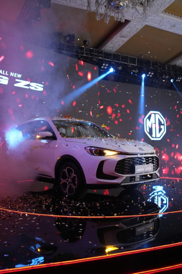 Mg Zs (1)