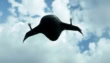 Airbound Scores 37m Funding To Challenge Trucking With Drones