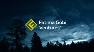 Fatima Gobi Ventures Just Became Pakistans Premier Venture Capital Firm