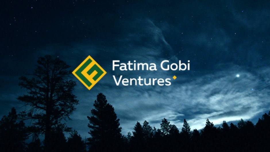 Fatima Gobi Ventures Just Became Pakistans Premier Venture Capital Firm