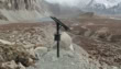 How Raspberry Pi Technology Enables Wwf Pakistan To Conserve Wildlife