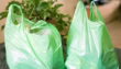 Lahore Misses Plastic Free Deadline As Bans Go Unenforced