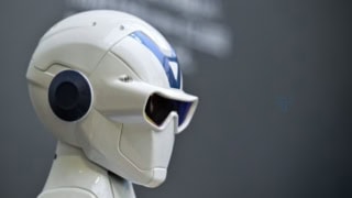 Humanoid Robot Market Explodes 508 Heres What That Means For Pakistan