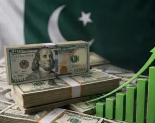 Pakistan Considers Investment Platform For Overseas Pakistanis