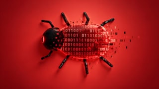 A Security Flaw In Php Could Affect Most Websites On The Internet