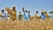 Punjab Announces 10 Initiatives For Farmers Including Apna Kisan Bank