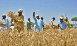 Punjab Announces 10 Initiatives For Farmers Including Apna Kisan Bank