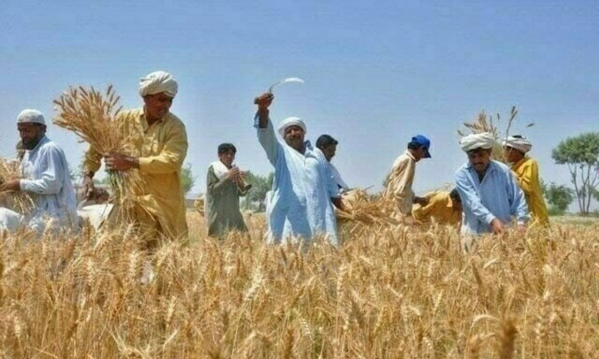 Punjab Announces 10 Initiatives for Farmers, Including Apna Kisan Bank